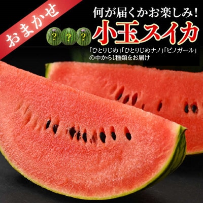 【先行受付】佐藤農園の小玉スイカとレノンメロンのセット 計2玉