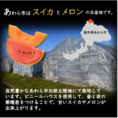 【先行受付】佐藤農園の小玉スイカとレノンメロンのセット 計2玉