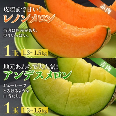 佐藤農園の赤肉と青肉食べ比べ計2玉(レノンメロン・アンデスメロン)