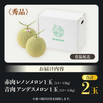 佐藤農園の赤肉と青肉食べ比べ計2玉(レノンメロン・アンデスメロン)
