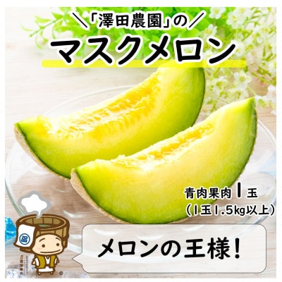 【先行受付】澤田農園の青肉マスクメロン(1.5kg以上 1玉入)