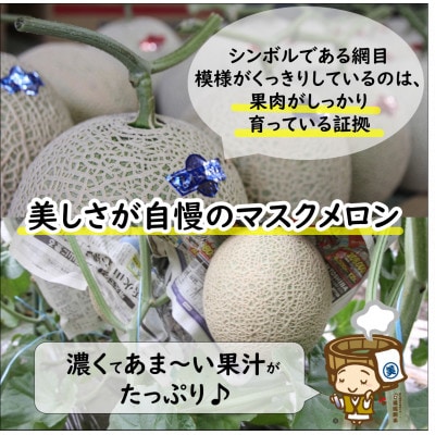 【先行受付】澤田農園の青肉マスクメロン(1.5kg以上 1玉入)