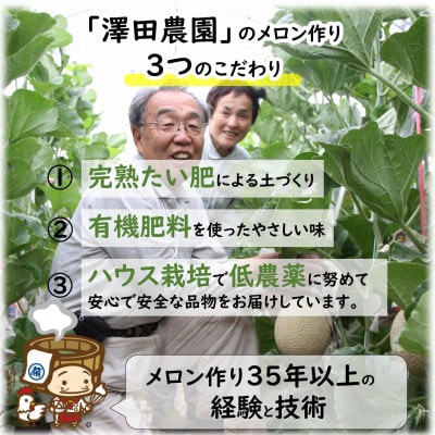 【先行受付】澤田農園の青肉マスクメロン(1.5kg以上 1玉入)