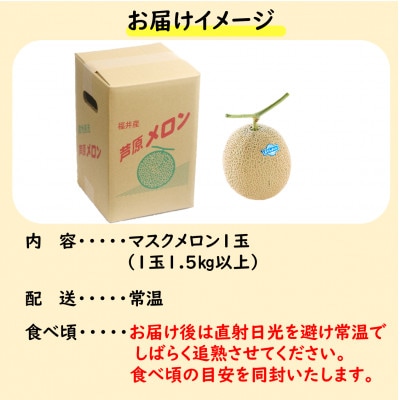 【先行受付】澤田農園の青肉マスクメロン(1.5kg以上 1玉入)