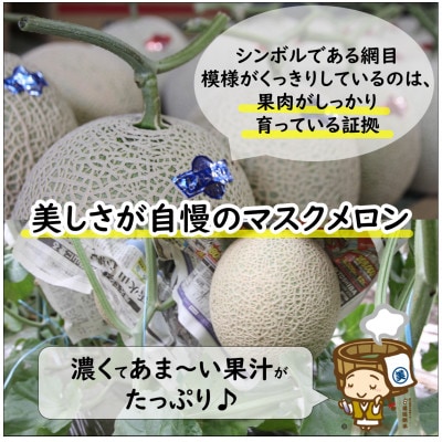 【先行予約】澤田農園の青肉マスクメロン(1.5kg以上 2玉入)