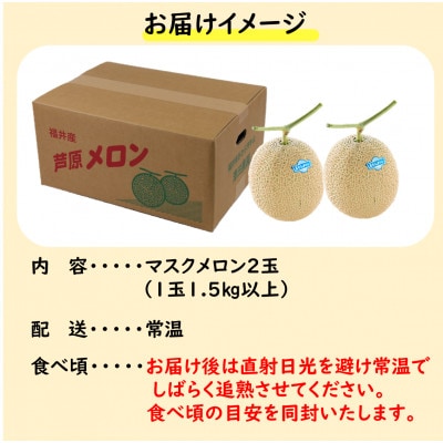 【先行予約】澤田農園の青肉マスクメロン(1.5kg以上 2玉入)