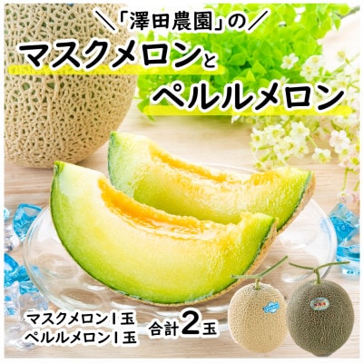 【先行受付】澤田農園のマスクメロン・ペルルメロン 2種セット(2玉入) 大玉で食べ応え抜群!
