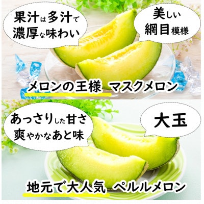 【先行受付】澤田農園のマスクメロン・ペルルメロン 2種セット(2玉入) 大玉で食べ応え抜群!