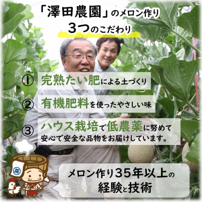 【先行受付】澤田農園のマスクメロン・ペルルメロン 2種セット(2玉入) 大玉で食べ応え抜群!