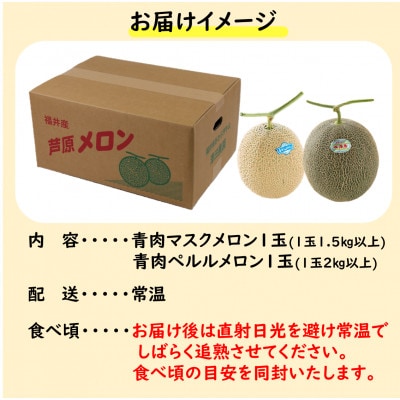 【先行受付】澤田農園のマスクメロン・ペルルメロン 2種セット(2玉入) 大玉で食べ応え抜群!