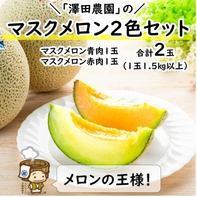 【先行受付】澤田農園のマスクメロン 青肉/赤肉 2色セット(1.5kg以上 2玉入)食べ比べお楽しみ