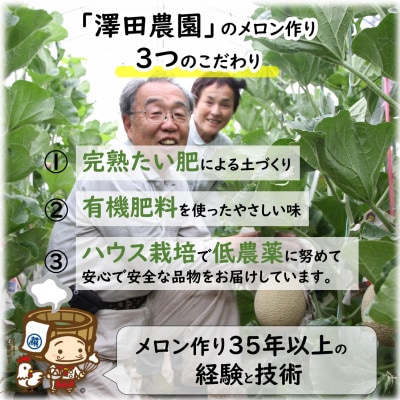 【先行受付】澤田農園のマスクメロン 青肉/赤肉 2色セット(1.5kg以上 2玉入)食べ比べお楽しみ