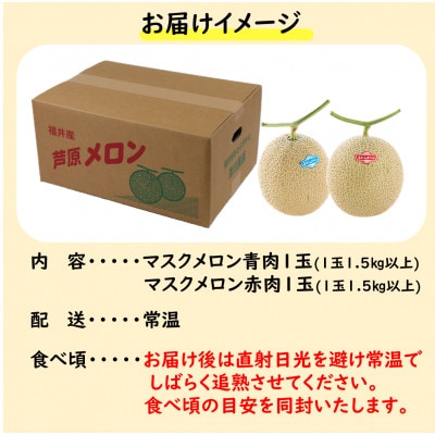【先行受付】澤田農園のマスクメロン 青肉/赤肉 2色セット(1.5kg以上 2玉入)食べ比べお楽しみ