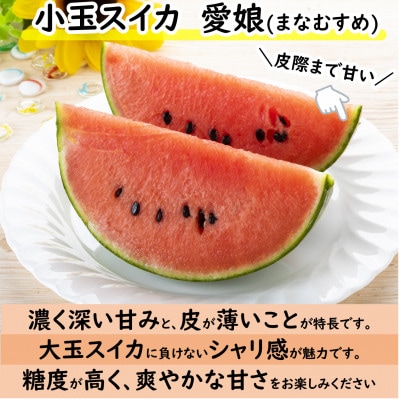 【先行予約】小玉すいか 愛娘(まなむすめ) 2kg以上 2玉入 <皮際まで抜群に甘い>