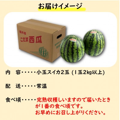【先行予約】小玉すいか 愛娘(まなむすめ) 2kg以上 2玉入 <皮際まで抜群に甘い>