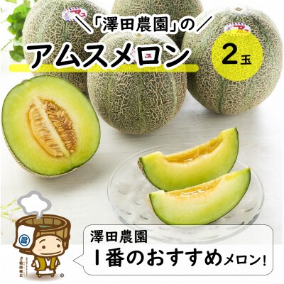 【先行予約】アムスメロン(1.3kg以上 2玉入) とろけるような果肉が絶品!