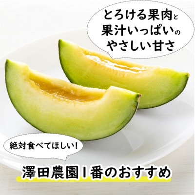 【先行予約】アムスメロン(1.3kg以上 2玉入) とろけるような果肉が絶品!