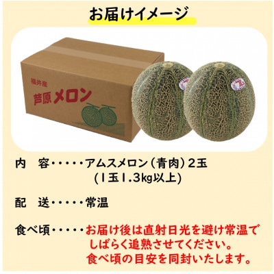 【先行予約】アムスメロン(1.3kg以上 2玉入) とろけるような果肉が絶品!