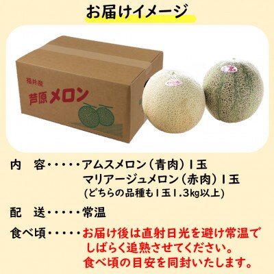 【先行予約】アムス・マリアージュメロン 2種(1.3kg以上2玉入)農園1番のおすすめ!