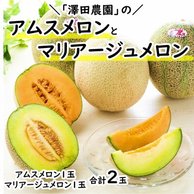 【先行予約】アムス・マリアージュメロン 2種(1.3kg以上2玉入)農園1番のおすすめ!