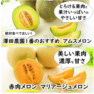 【先行予約】アムス・マリアージュメロン 2種(1.3kg以上2玉入)農園1番のおすすめ!
