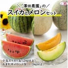 【先行予約】日を分けて2度楽しめる!小玉すいか・おすすめメロン 2種セット(2玉入)