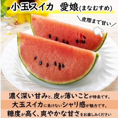 【先行予約】日を分けて2度楽しめる!小玉すいか・おすすめメロン 2種セット(2玉入)