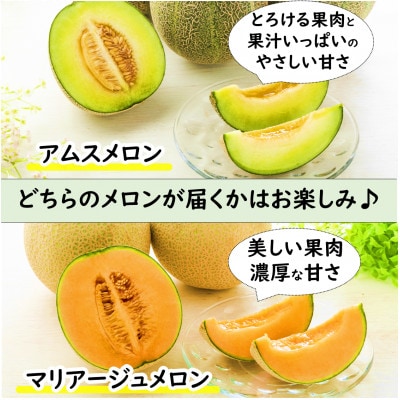 【先行予約】日を分けて2度楽しめる!小玉すいか・おすすめメロン 2種セット(2玉入)