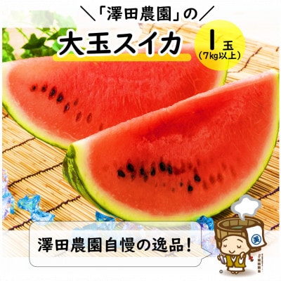 【先行予約】大玉スイカ(7kg以上 1玉入) 皮際まで甘い!シャリ感も抜群!
