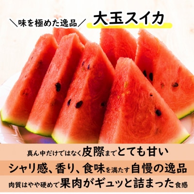 【先行予約】大玉スイカ(7kg以上 1玉入) 皮際まで甘い!シャリ感も抜群!