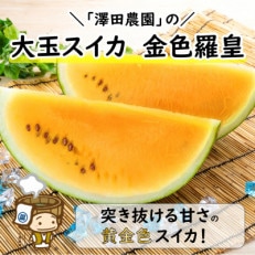 【先行予約】大玉スイカ『金色羅皇』(7kg以上 1玉入) スイカ史上 最高糖度!