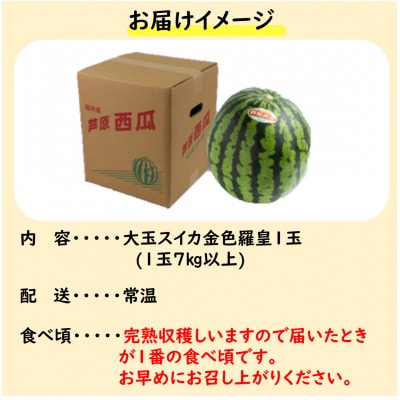 【先行予約】大玉スイカ『金色羅皇』(7kg以上 1玉入) スイカ史上 最高糖度!