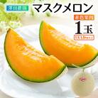 【先行予約】赤肉マスクメロン(1.5kg以上 1玉入)