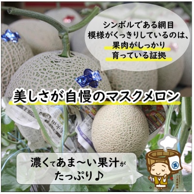【先行予約】赤肉マスクメロン(1.5kg以上 1玉入)