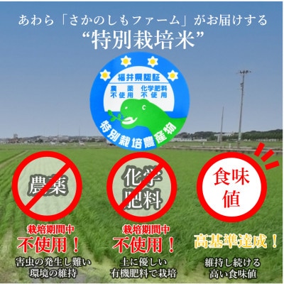 令和7年産新米 【栽培期間中農薬不使用】こしひかり 玄米10kg