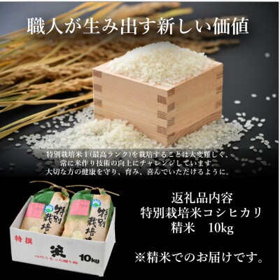 【令和6年産】特別栽培米コシヒカリ 精米 10kg 栽培期間中農薬・化学肥料不使用