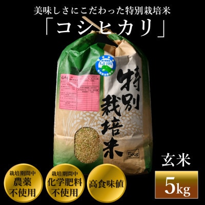 【令和6年産】特別栽培米コシヒカリ 玄米 5kg 栽培期間中農薬・化学肥料不使用