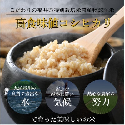 【令和6年産】特別栽培米コシヒカリ 玄米 5kg 栽培期間中農薬・化学肥料不使用