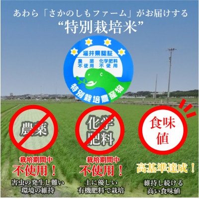 【令和6年産】特別栽培米コシヒカリ 玄米 5kg 栽培期間中農薬・化学肥料不使用
