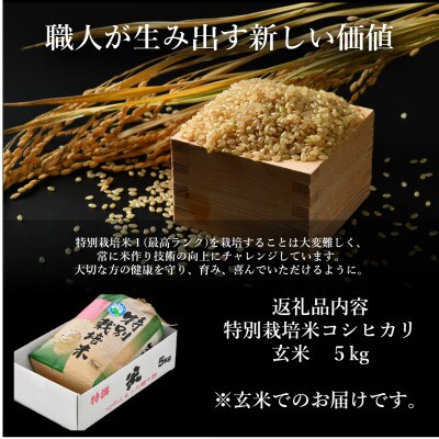 【令和6年産】特別栽培米コシヒカリ 玄米 5kg 栽培期間中農薬・化学肥料不使用