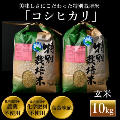 【令和6年産】特別栽培米コシヒカリ 玄米 10kg 栽培期間中農薬・化学肥料不使用