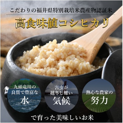 【令和6年産】特別栽培米コシヒカリ 玄米 10kg 栽培期間中農薬・化学肥料不使用