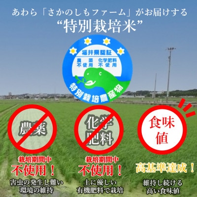 【令和6年産】特別栽培米コシヒカリ 玄米 10kg 栽培期間中農薬・化学肥料不使用