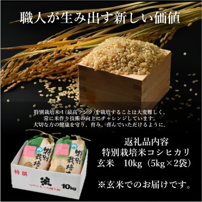 【令和6年産】特別栽培米コシヒカリ 玄米 10kg 栽培期間中農薬・化学肥料不使用