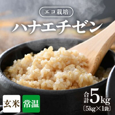 【令和8年産】 【一等米】エコ栽培ハナエチゼン　玄米5kg