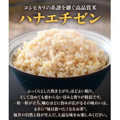 【令和8年産】 【一等米】エコ栽培ハナエチゼン　玄米5kg