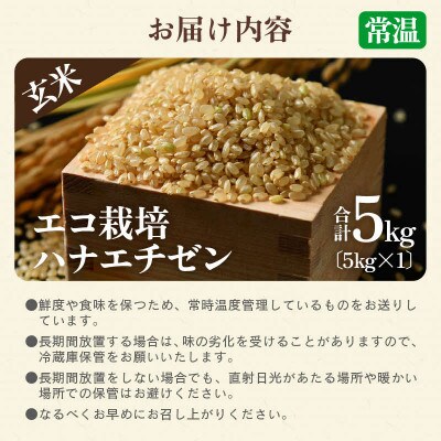 【令和8年産】 【一等米】エコ栽培ハナエチゼン　玄米5kg