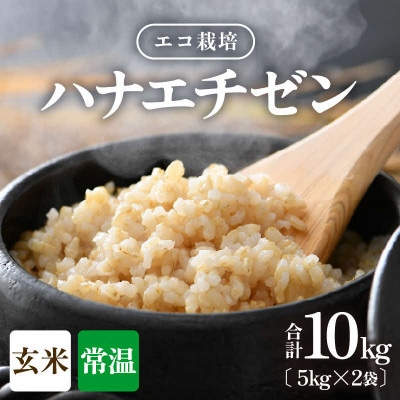 【令和8年産】 【一等米】エコ栽培ハナエチゼン 玄米10kg (5kg×2袋)