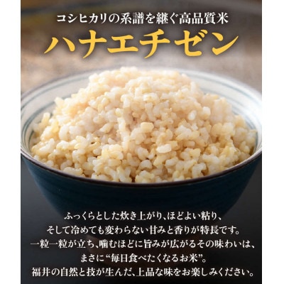 【令和8年産】 【一等米】エコ栽培ハナエチゼン 玄米10kg (5kg×2袋)