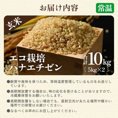【令和8年産】 【一等米】エコ栽培ハナエチゼン 玄米10kg (5kg×2袋)